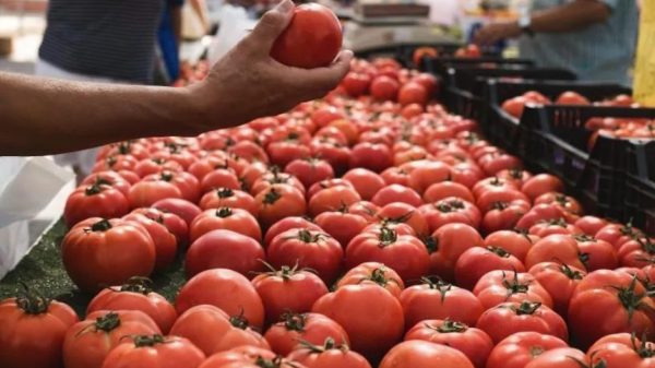 «Καμπανάκι» Ευρωπαίων παραγωγών φρούτων και λαχανικών για πιθανή αναθεώρηση συμφωνίας εμπορίου με το Μαρόκο