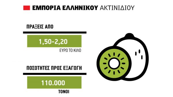 Έως 2,20 ευρώ οι εξαγωγές ακτινιδίου, αύξηση 10% στα κιλά περίπου 350.000 τόνους
