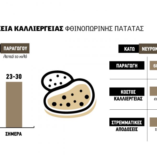 Ξανά έως 30 λεπτά η πατάτα, αγκάθι ο συγχρονισμός στις φυτεύσεις της Βορ. Ελλάδας