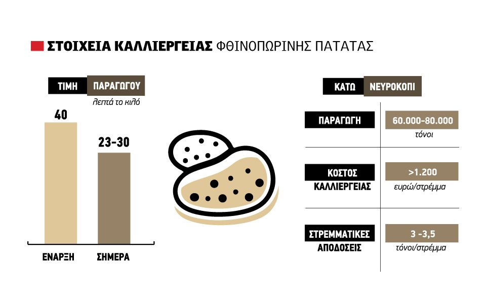 Ξανά έως 30 λεπτά η πατάτα, αγκάθι ο συγχρονισμός στις φυτεύσεις της Βορ. Ελλάδας