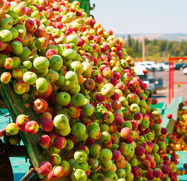 Η ΕΕ εξετάζει τη συμφωνία ελεύθερου εμπορίου με την Ουκρανία για φρούτα και λαχανικά