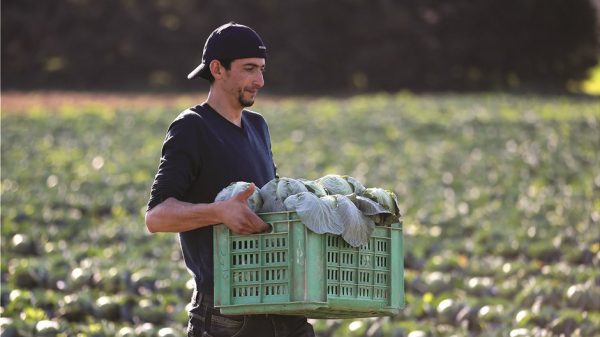 Λήγει εντός Φλεβάρη η προθεσμία ανανέωσης εγγραφής στο ΜΕΝΟ
