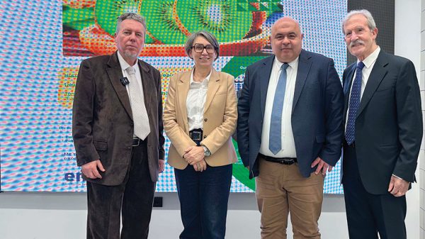 Απαιτητική η διαχείριση ζιζανίων στην ακτινιδιοκαλλιέργεια