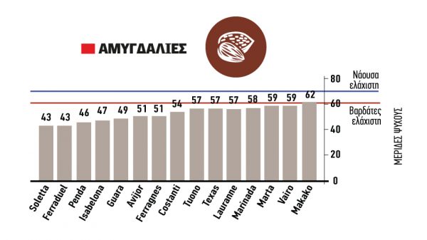 Νέες ποικιλίες αμυγδαλιάς τρωτές σε απαιτήσεις ψύχους ετησίως