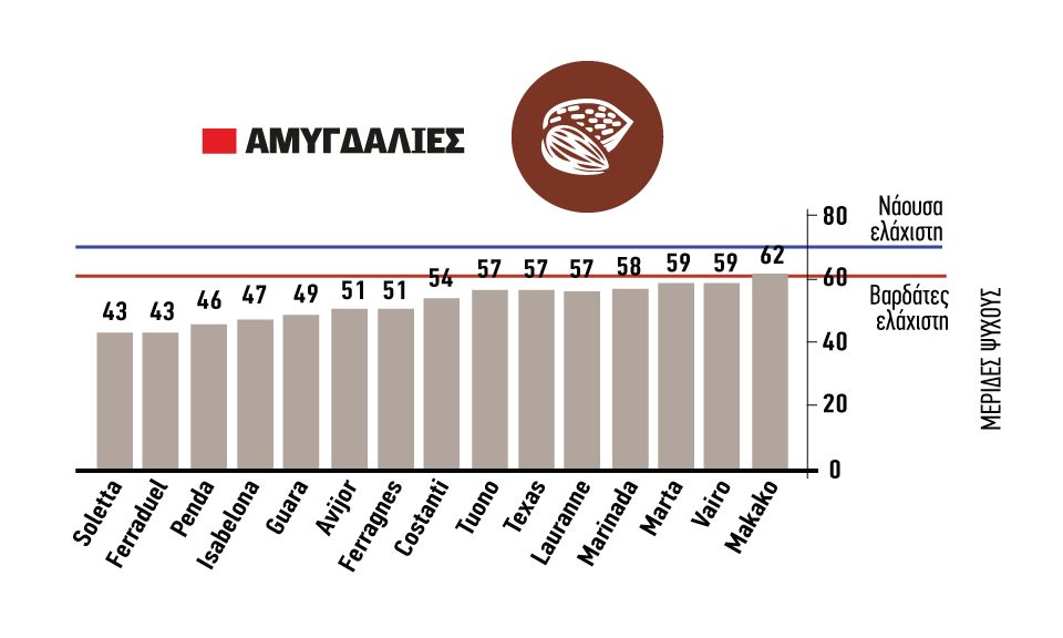 Νέες ποικιλίες αμυγδαλιάς τρωτές σε απαιτήσεις ψύχους ετησίως