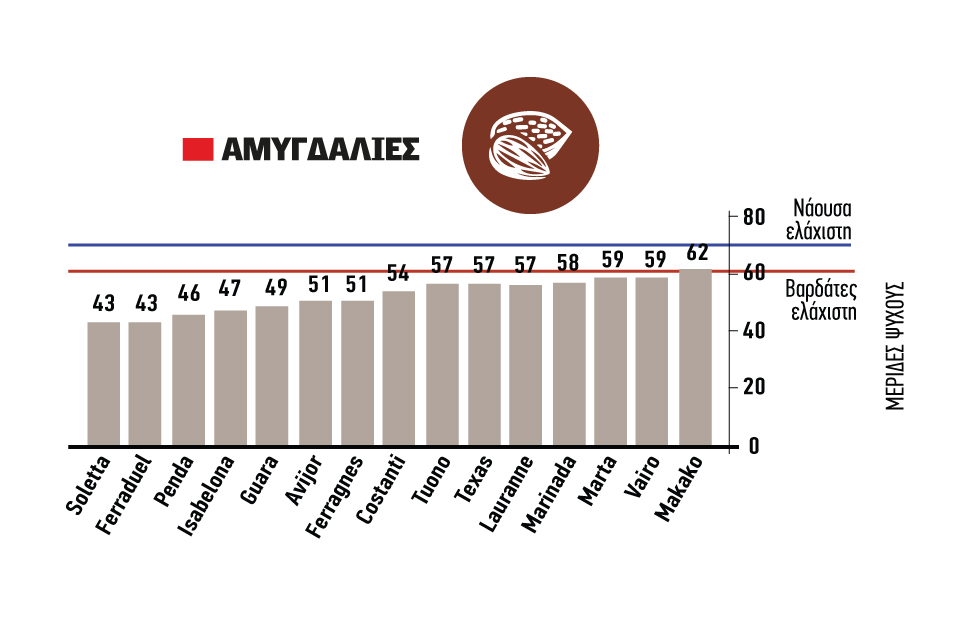 Νέες ποικιλίες αμυγδαλιάς τρωτές σε απαιτήσεις ψύχους ετησίως