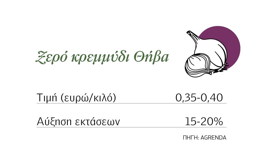 Αυξάνει εκτάσεις το ξερό κρεμμύδι, στα 35-40 λεπτά παίζουν οι τιμές