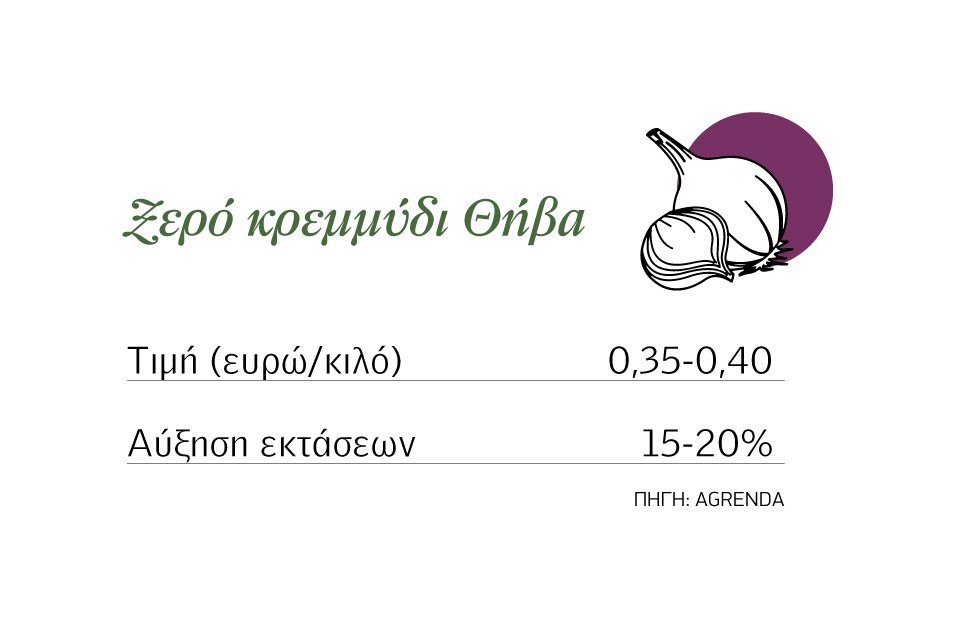 Αυξάνει εκτάσεις το ξερό κρεμμύδι, στα 35-40 λεπτά παίζουν οι τιμές