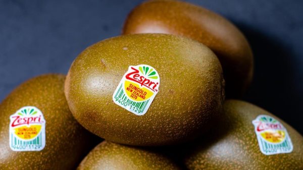 Η Zespri ανακοίνωσε ότι η σεζόν για τα ακτινίδια SunGold στο Βόρειο Ημισφαίριο ολοκληρώθηκε με πολύ θετικά αποτελέσματα, καταγράφοντας σημαντική αύξηση των όγκων στο πλαίσιο του προγράμματος Zespri Global Supply και παράταση της διαθεσιμότητας στην αγορά.