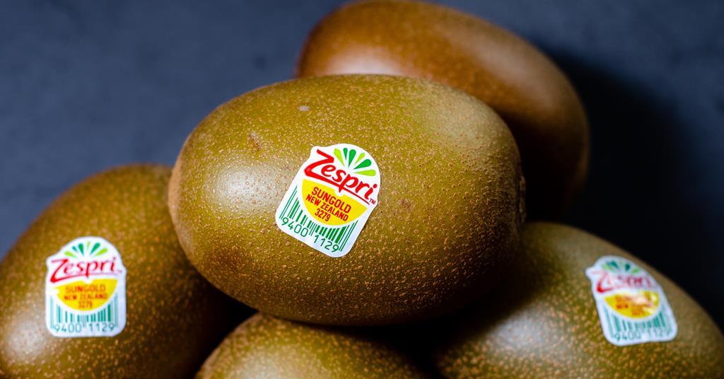 Η Zespri ανακοίνωσε ότι η σεζόν για τα ακτινίδια SunGold στο Βόρειο Ημισφαίριο ολοκληρώθηκε με πολύ θετικά αποτελέσματα, καταγράφοντας σημαντική αύξηση των όγκων στο πλαίσιο του προγράμματος Zespri Global Supply και παράταση της διαθεσιμότητας στην αγορά.