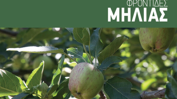 Η ορθή θρέψη βάζει πλάτη για να έρθει η αύξηση του αριθμού καρπών στα μήλα
