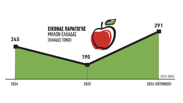 Ενθαρρυντική η εικόνα σε όγκο και ποιότητα στα μήλα εν αναμονή τιμών η αγορά, χαμηλά κινήθηκαν τα Gala